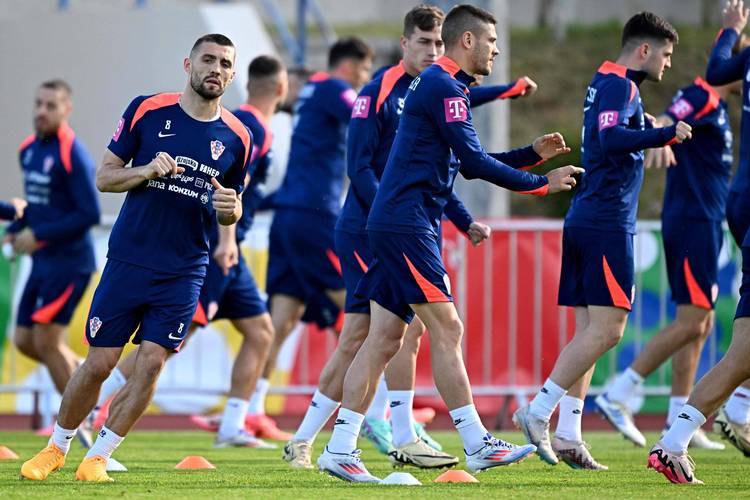 法国球队引进新球员增强实力